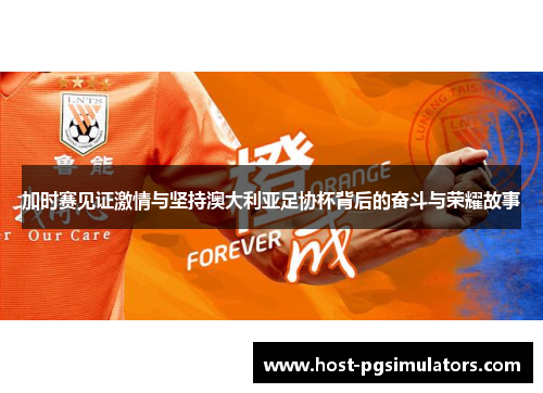加时赛见证激情与坚持澳大利亚足协杯背后的奋斗与荣耀故事