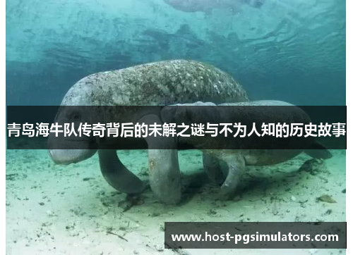 青岛海牛队传奇背后的未解之谜与不为人知的历史故事 青岛海牛队传奇背后的未解之谜与不为人知的历史故事