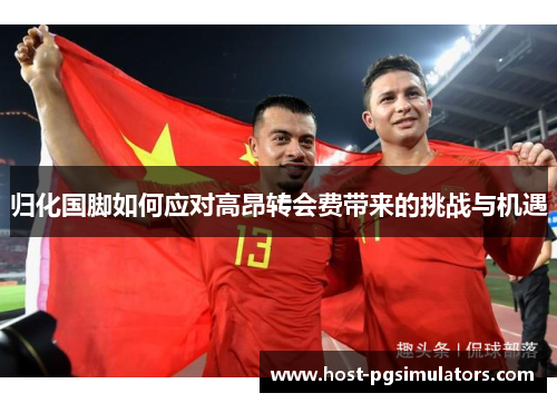 归化国脚如何应对高昂转会费带来的挑战与机遇 归化国脚如何应对高昂转会费带来的挑战与机遇